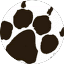 Profile photo of Patricia Chaney