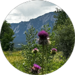 Profile photo of Jayma Jamieson MA NCC LPC