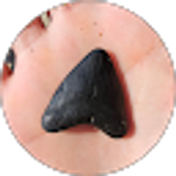 Profile photo of Joel Shackelford