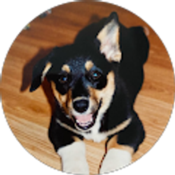 Profile photo of Karen