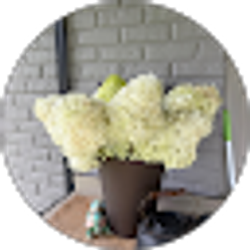 Profile photo of Maureen Testa