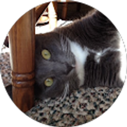 Profile photo of Cris Welch