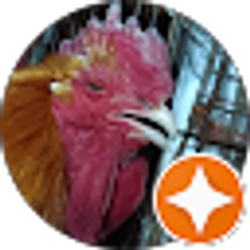 Profile photo of Watchem Closer