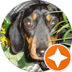 Profile photo of Ms. Jimi Johnson