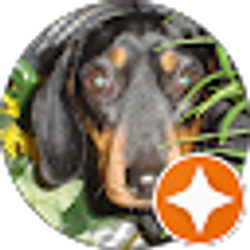 Profile photo of Ms. Jimi Johnson