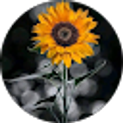 Profile photo of Nancy Nicols Ramos Aguilar