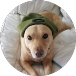 Profile photo of Bill Burnett