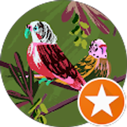 Profile photo of Erika Martinez