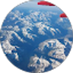 Profile photo of work hard