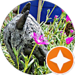 Profile photo of Linda White