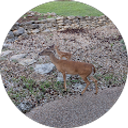 Profile photo of Kathy