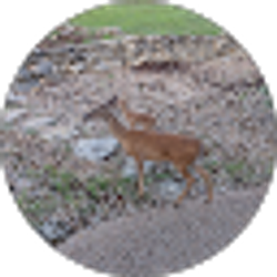 Profile photo of Kathy