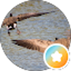 Profile photo of Thardoc