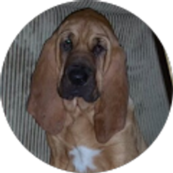 Profile photo of kate haines