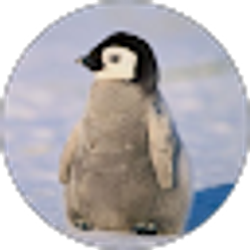 Profile photo of Christian