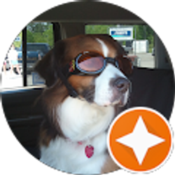 Profile photo of Cindy S