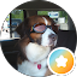 Profile photo of Cindy S