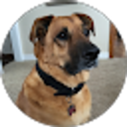 Profile photo of Jennifer Carter