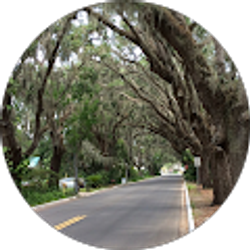 Profile photo of K. K