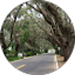 Profile photo of K. K