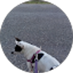 Profile photo of Billy Fruen