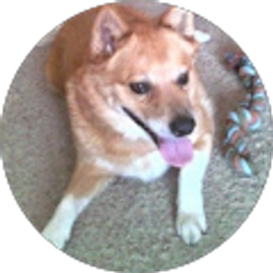 Profile photo of Ricardo DeSouza