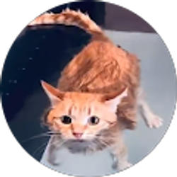 Profile photo of Xinjun Huo