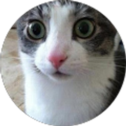 Profile photo of Elizabeth Landes