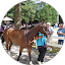 Profile photo of John Quadrino