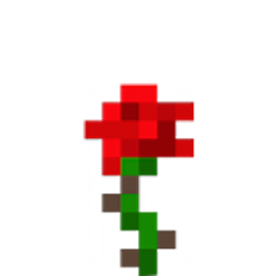 Profile photo of Jake Zachos