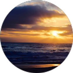 Profile photo of Madeleine Carmane