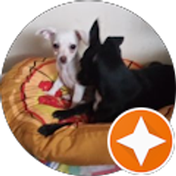 Profile photo of Drayon Bee