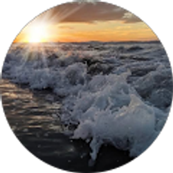 Profile photo of Nichols Fletcher