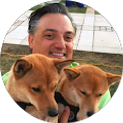 Profile photo of John Madden