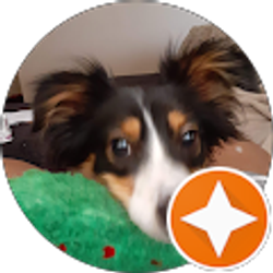 Profile photo of Shakiera Chiles