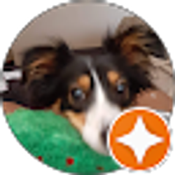 Profile photo of Shakiera Chiles