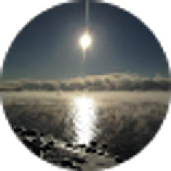 Profile photo of Trevor M