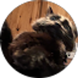 Profile photo of Kelsie