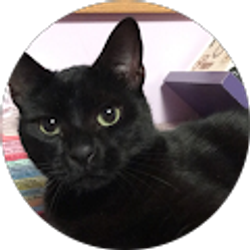 Profile photo of Victoria Blevins