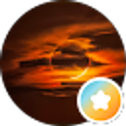 Profile photo of Randi Stir