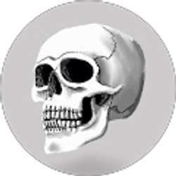 Profile photo of Jaime M.