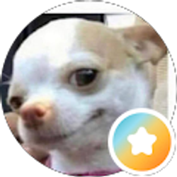 Profile photo of Sm H