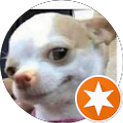 Profile photo of Sm H