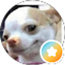 Profile photo of Sm H