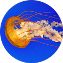 Profile photo of Litany Green