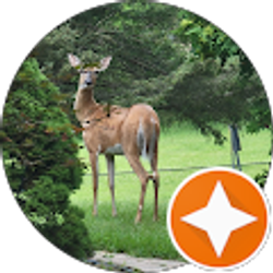 Profile photo of nick schliter