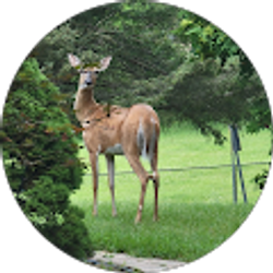 Profile photo of nick schliter