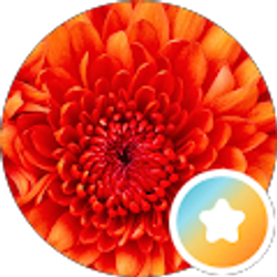 Profile photo of Susie Bunch