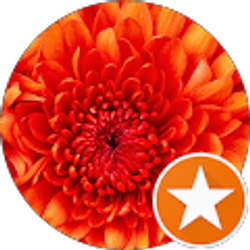 Profile photo of Susie Bunch