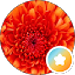 Profile photo of Susie Bunch